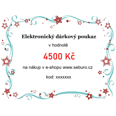 Elektronický dárkový poukaz v hodnotě 4500 Kč